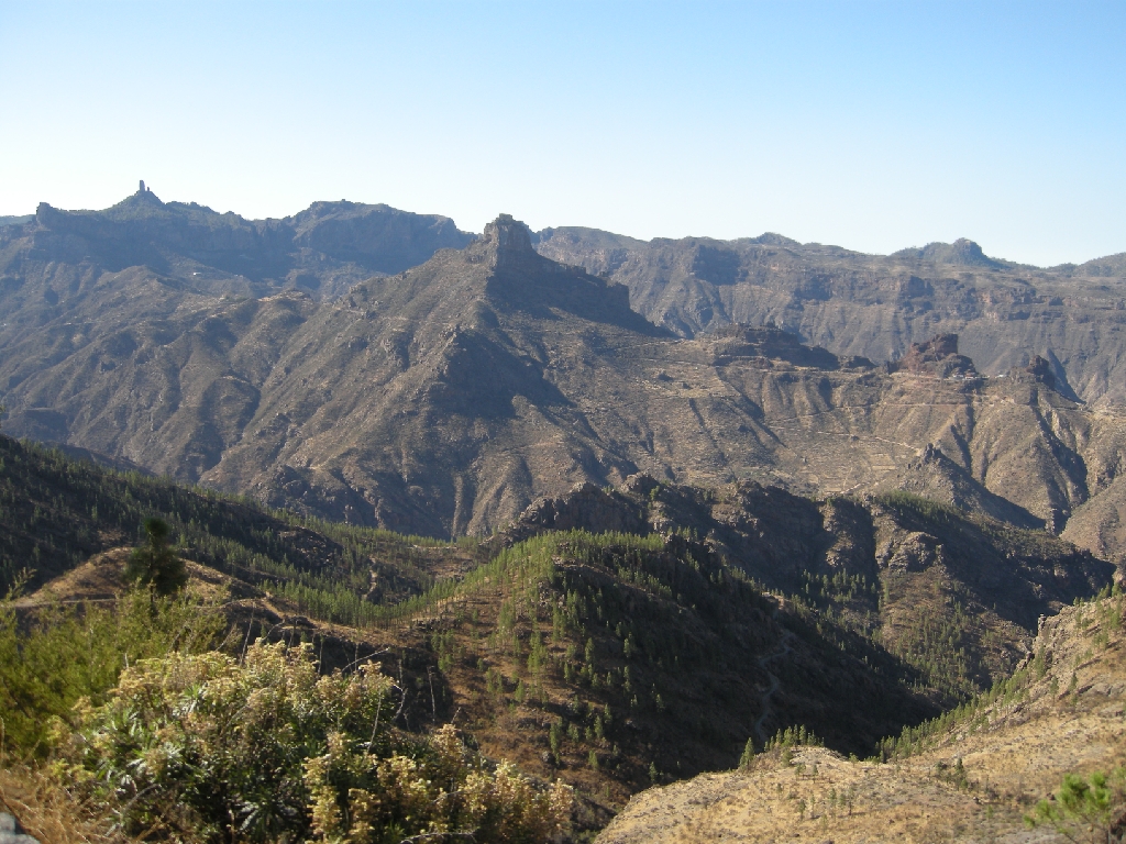 Gran Canaria 294